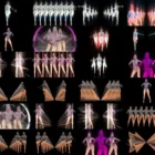 vj loops bundle